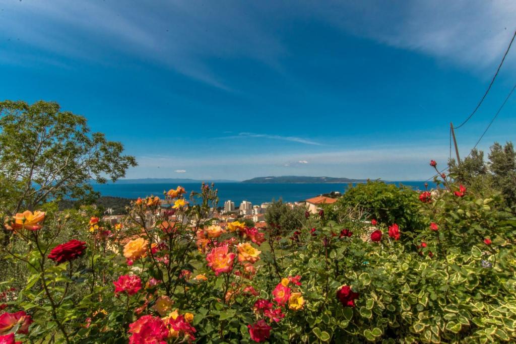 Vacation Home Petar photo 3
