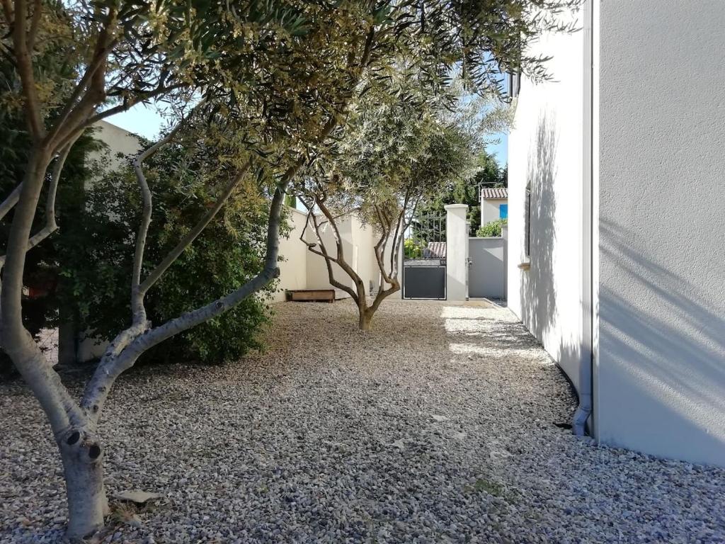 Villa de la Capèra photo 2