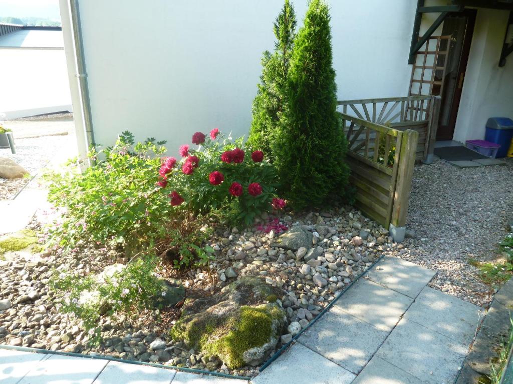 Ferienwohnung Lotti photo 2