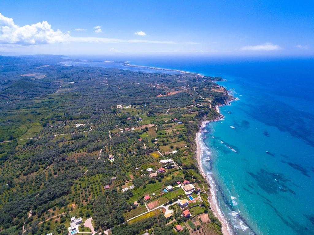 Villa Sofia photo 4