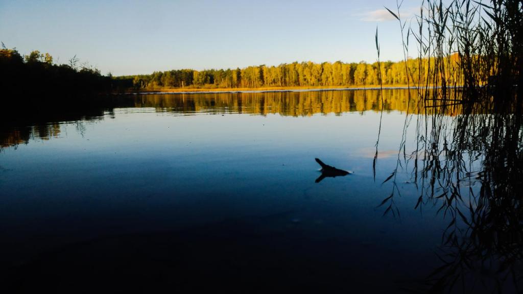 martas Gästehäuser Groß Väter See photo 1