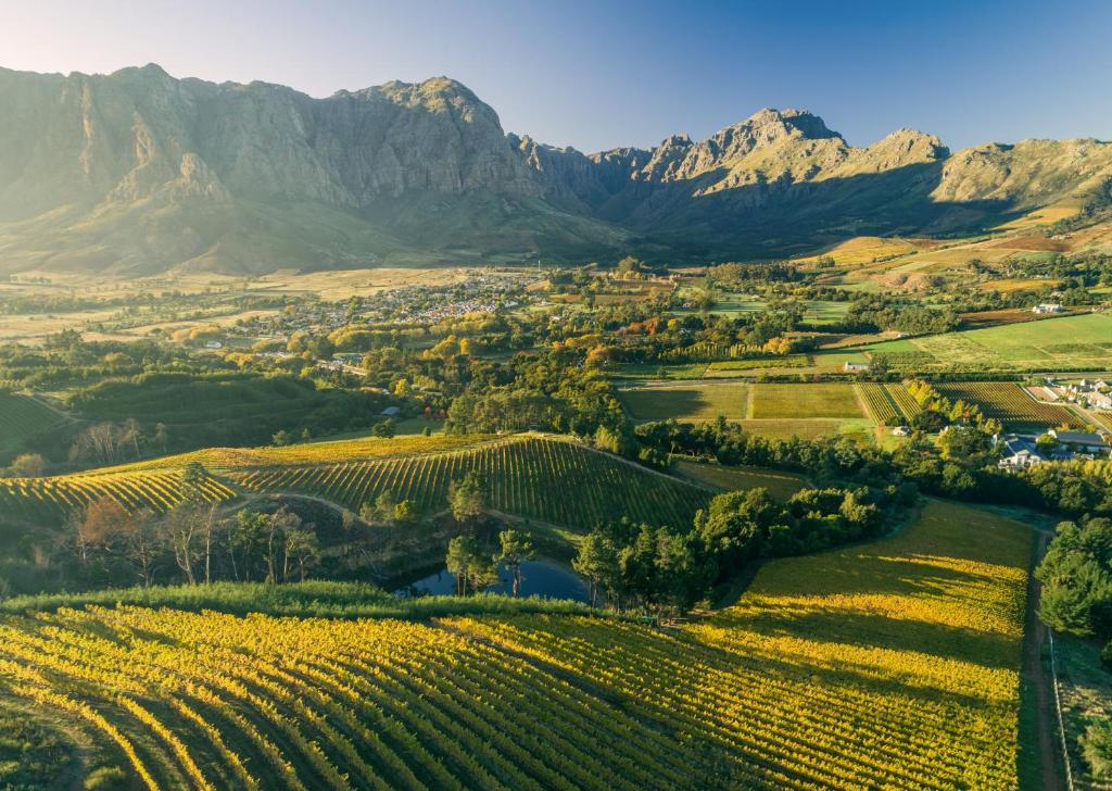 Bartinney Private Cellar Banhoek photo 2