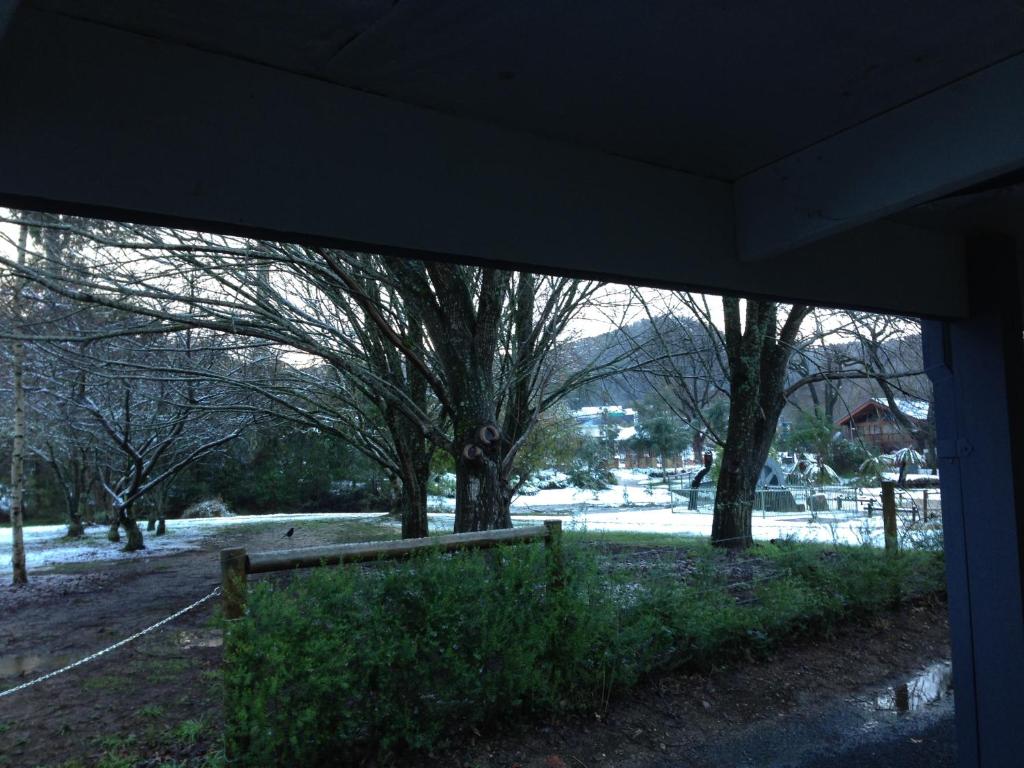 Goldberryaccommodation photo 3