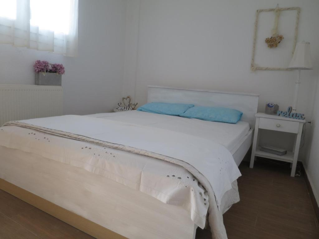 Guesthouse with Garden photo 4