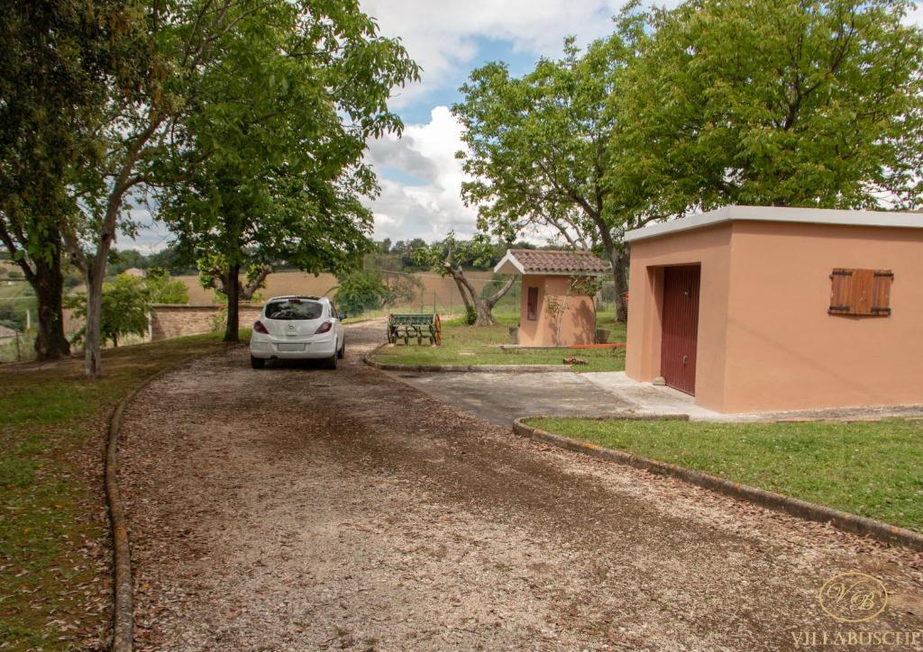 Villa Buschi photo 3