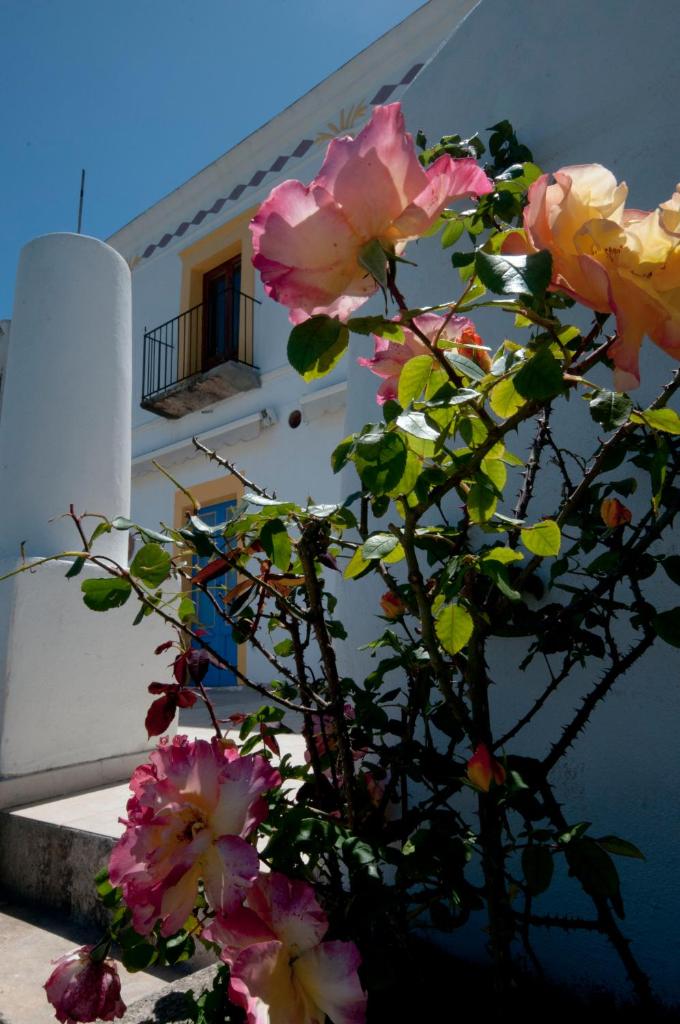 Casa Vacanze Dell'Avvocato photo 4