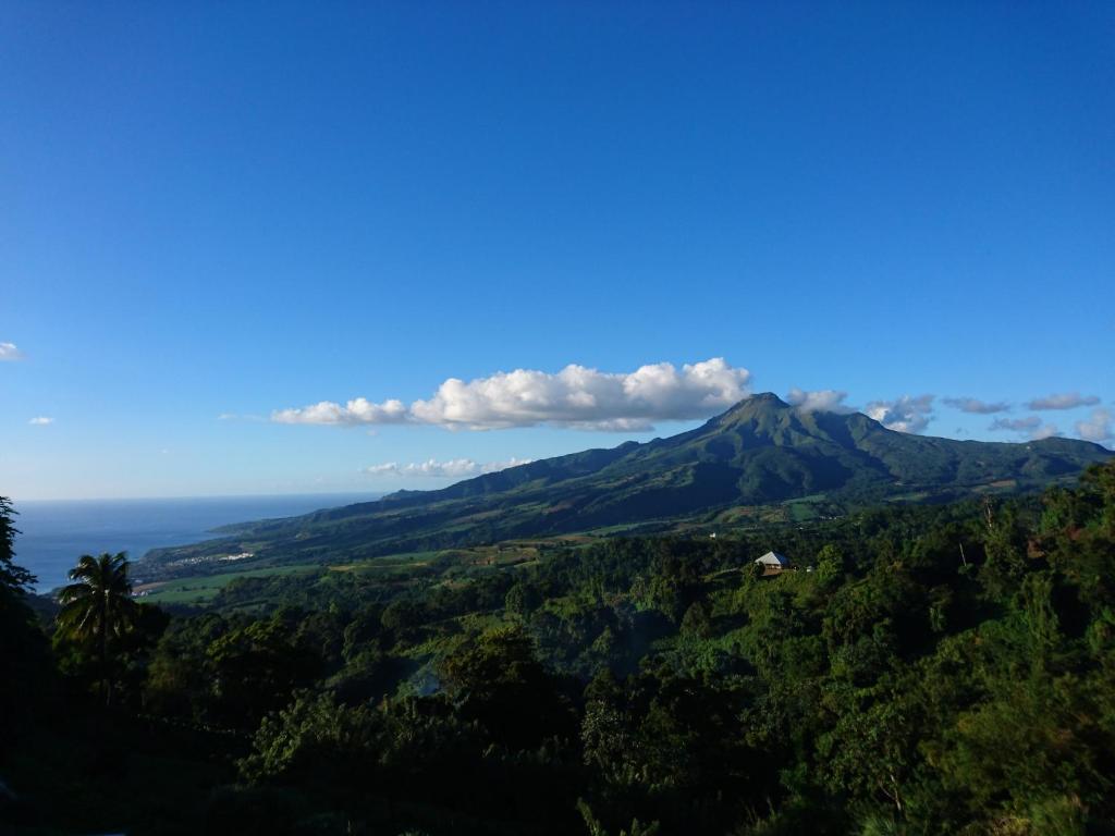 LES HAMEAUX DU MORNE DES CADETS