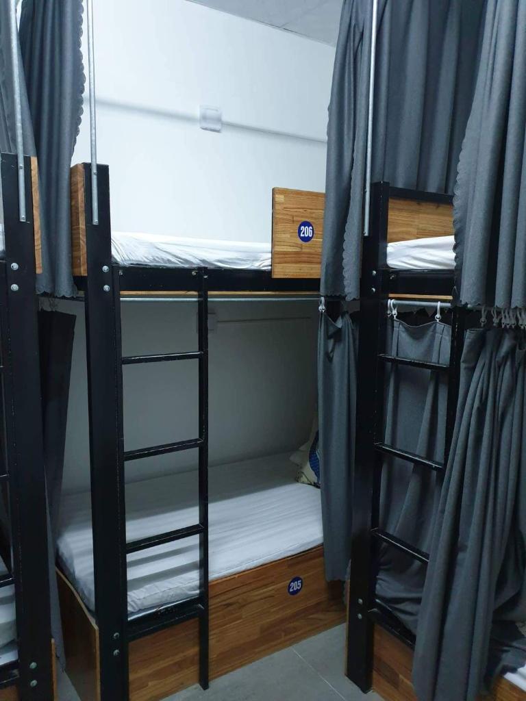 Starfish Alley Hostel