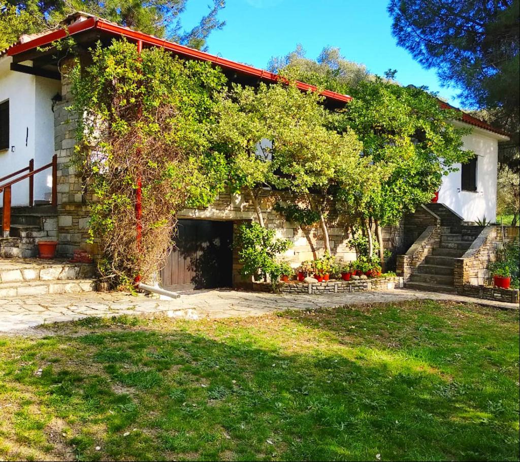 Casa Natura photo 2