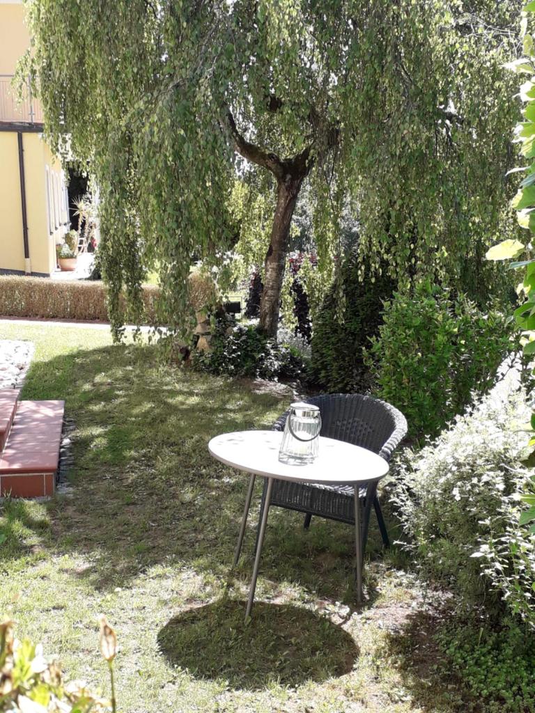 Die Maria photo 3