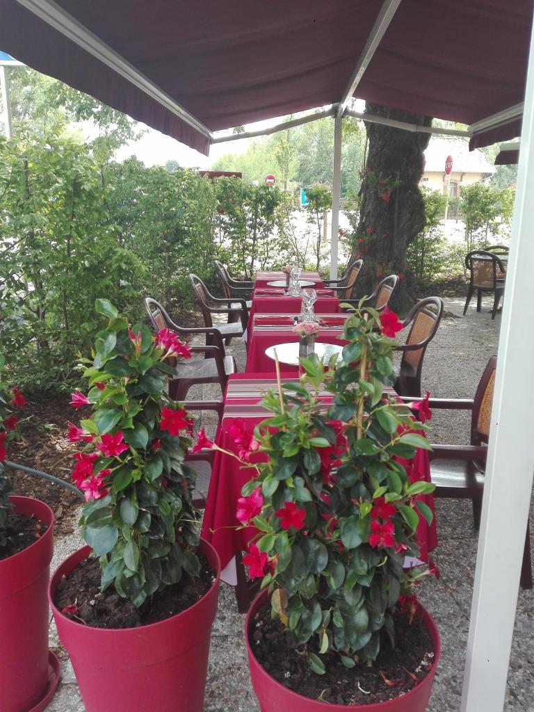Auberge de la Terrasse photo 4