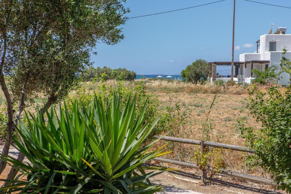 Апартаменты (Апартаменты-студио), Studio Tolakis