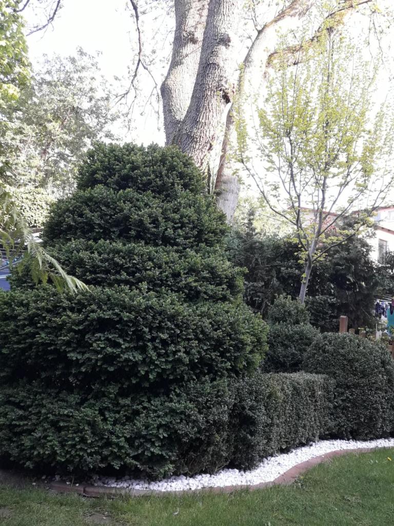 Ferienwohnungen Salzwedel Weissbach photo 1