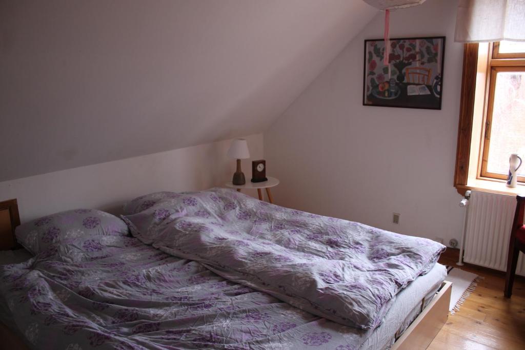 Borup Bed & Breakfast photo 4
