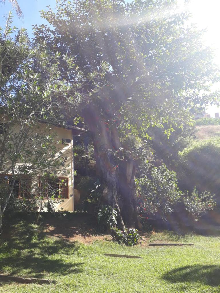 Pousada da Figueira photo 1