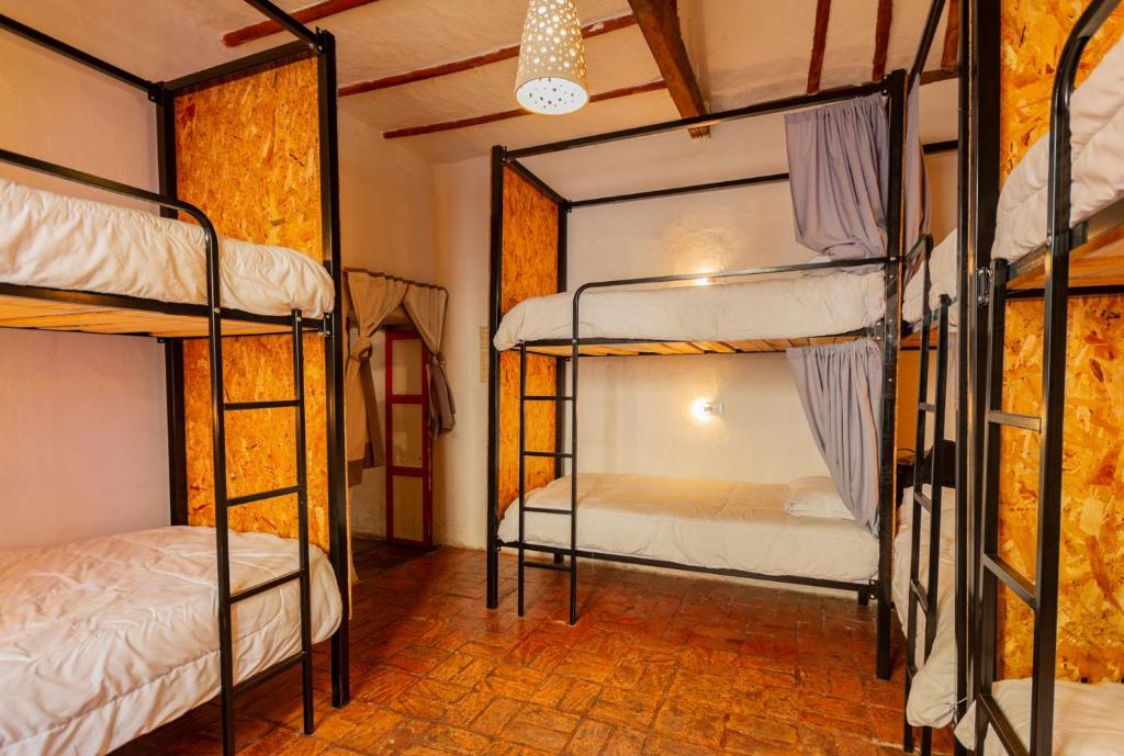 Botanico Hostel photo 2