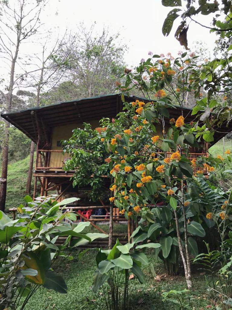 ESTACION PARAISO DE DANTAS photo 4
