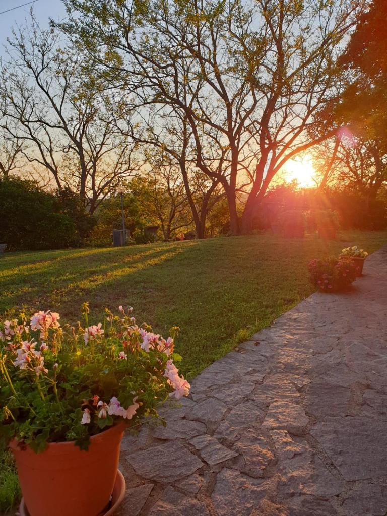 Agriturismo SaTanca photo 1