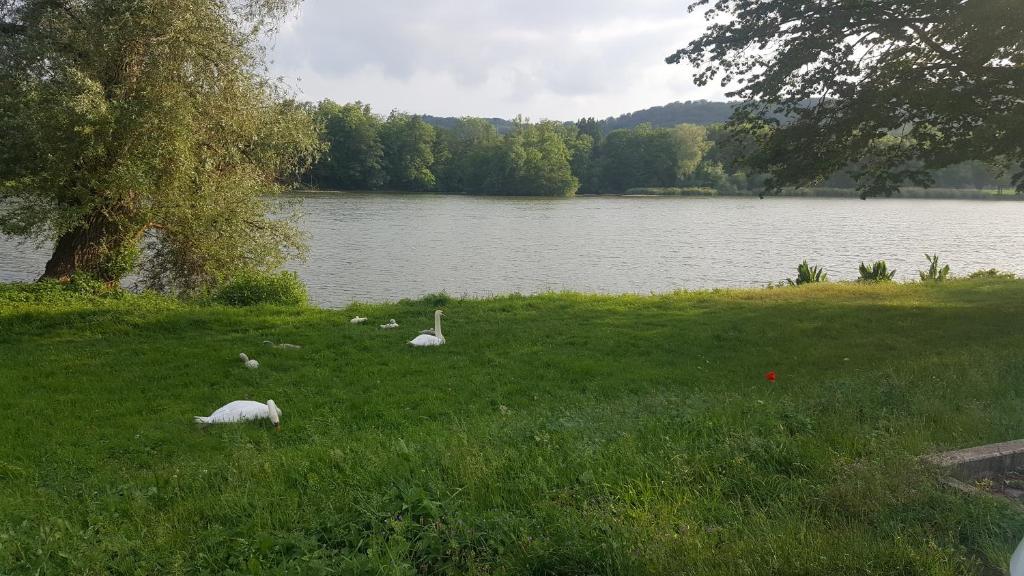 Ferienhaus am Teich photo 1