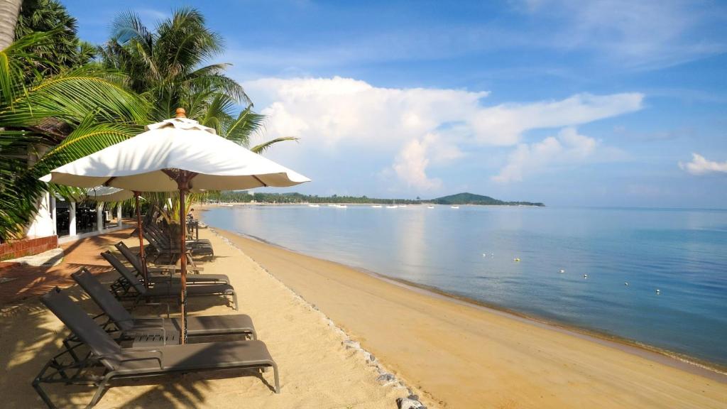 Paradise Beach Resort, Koh Samui - SHA Extra Plus photo 3