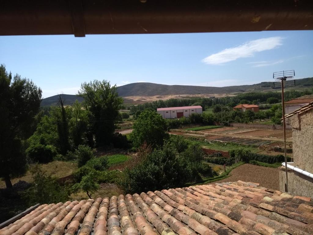 VEN GAVINO photo 3
