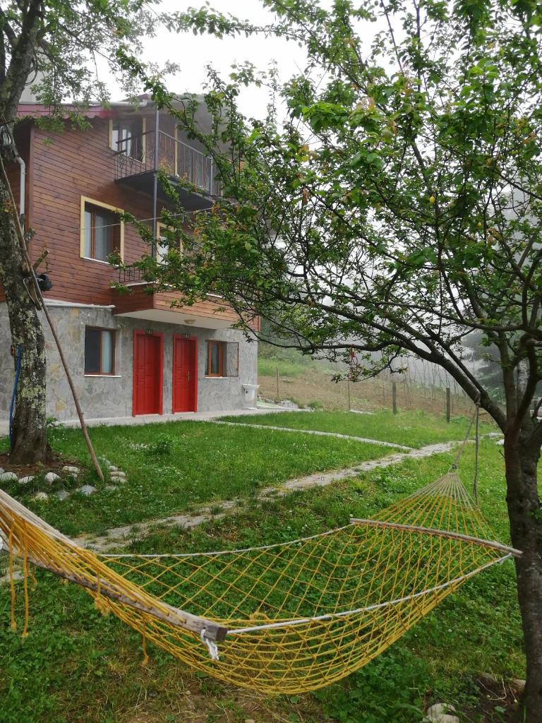 Ayder Palas Apart Hotel photo 1
