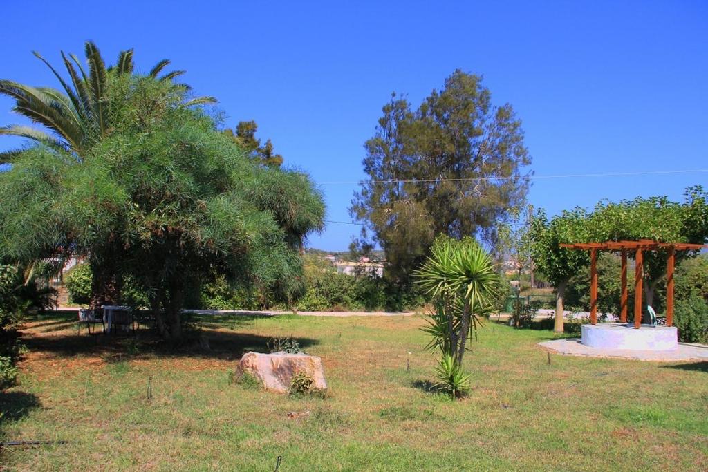 Ilias Apartments photo 3