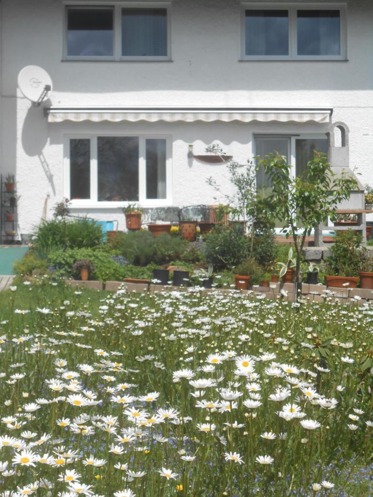 Ferienwohnung Casa MIA photo 1