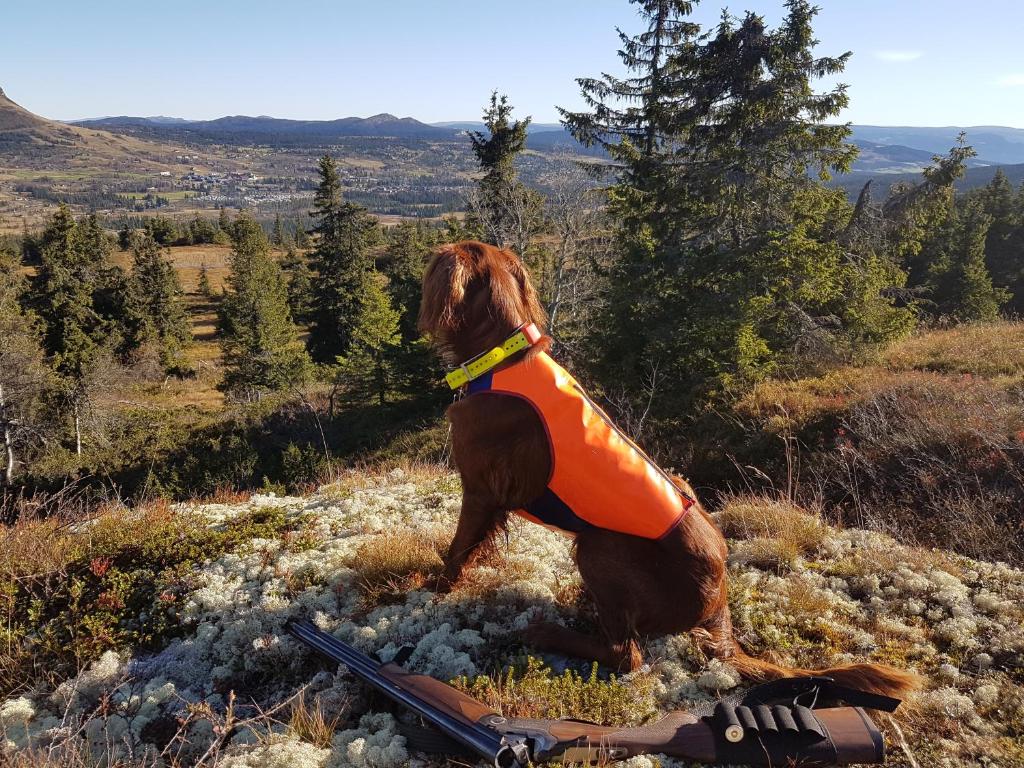 Koselig familiehytte sentralt på Skeikampen til leie photo 4