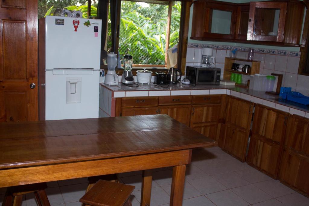 CasitaCecropia Rental photo 2