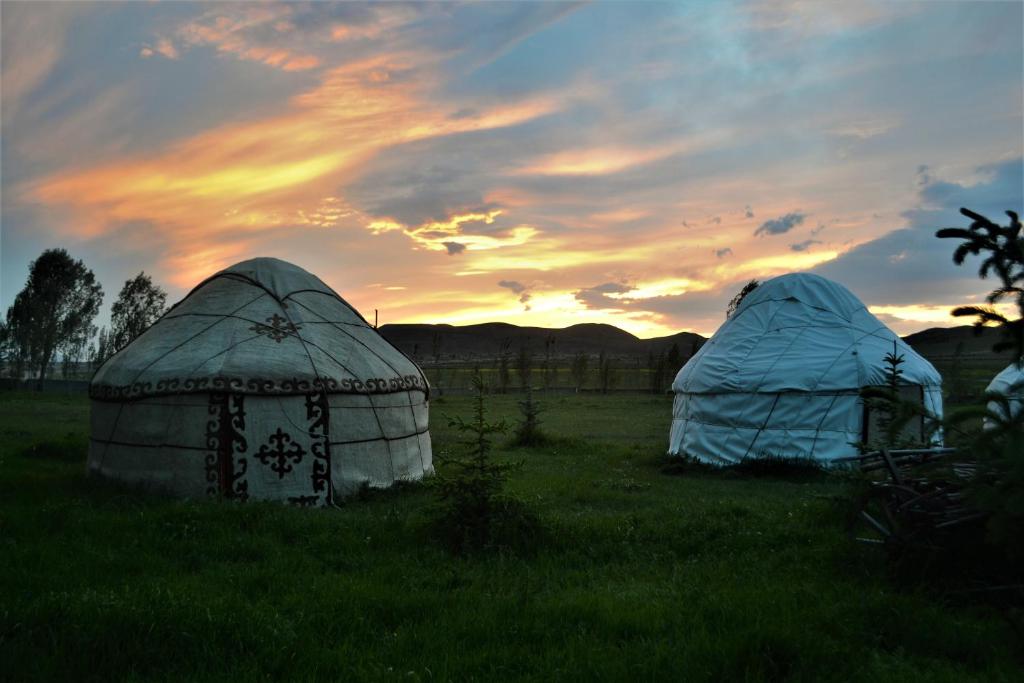 Jaichy Yurt Camp photo 4