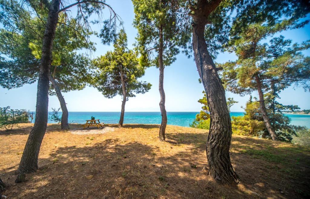 Summerday Villa Private Beach photo 4