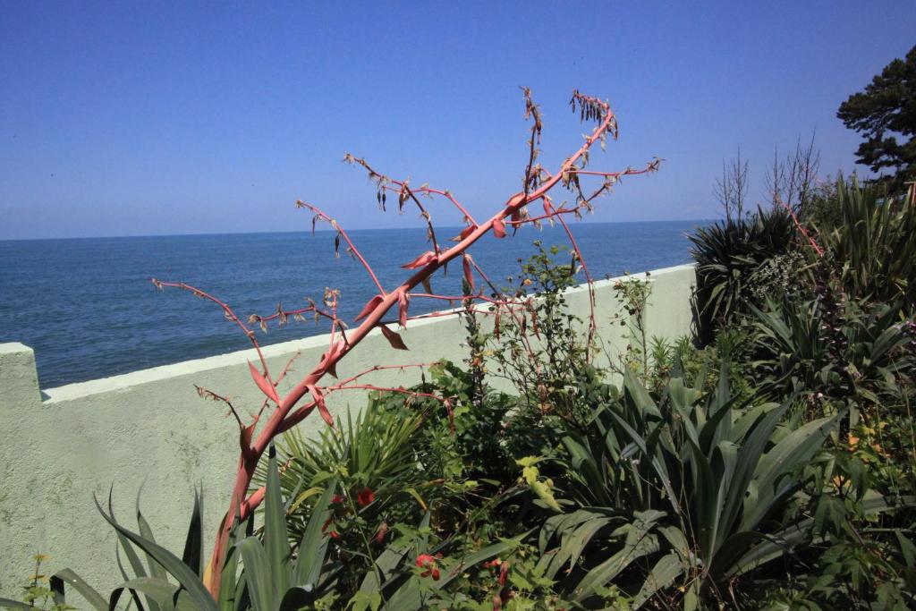 Hitas house photo 1