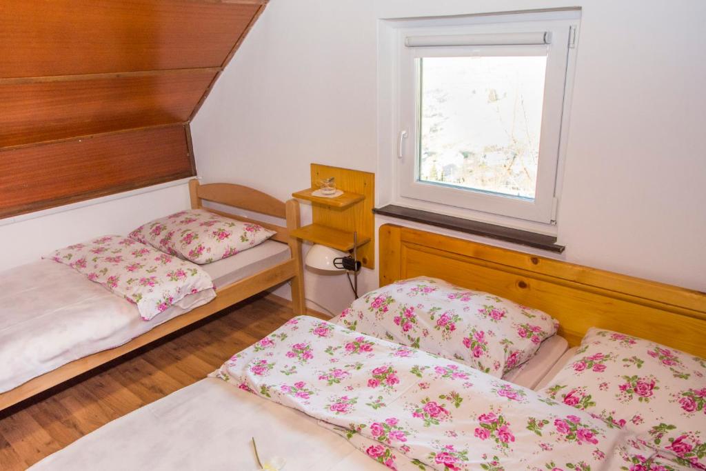 Vinska klet Smej photo 2