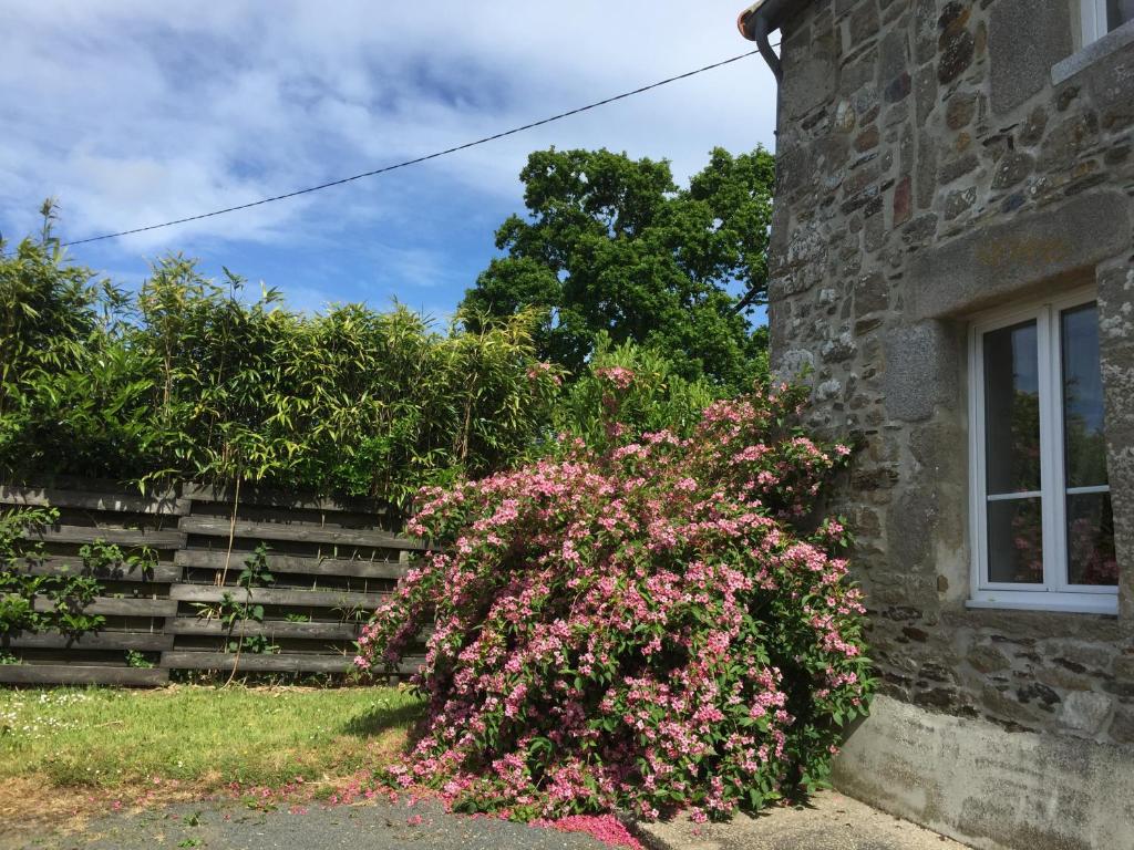 la maison perchée photo 1