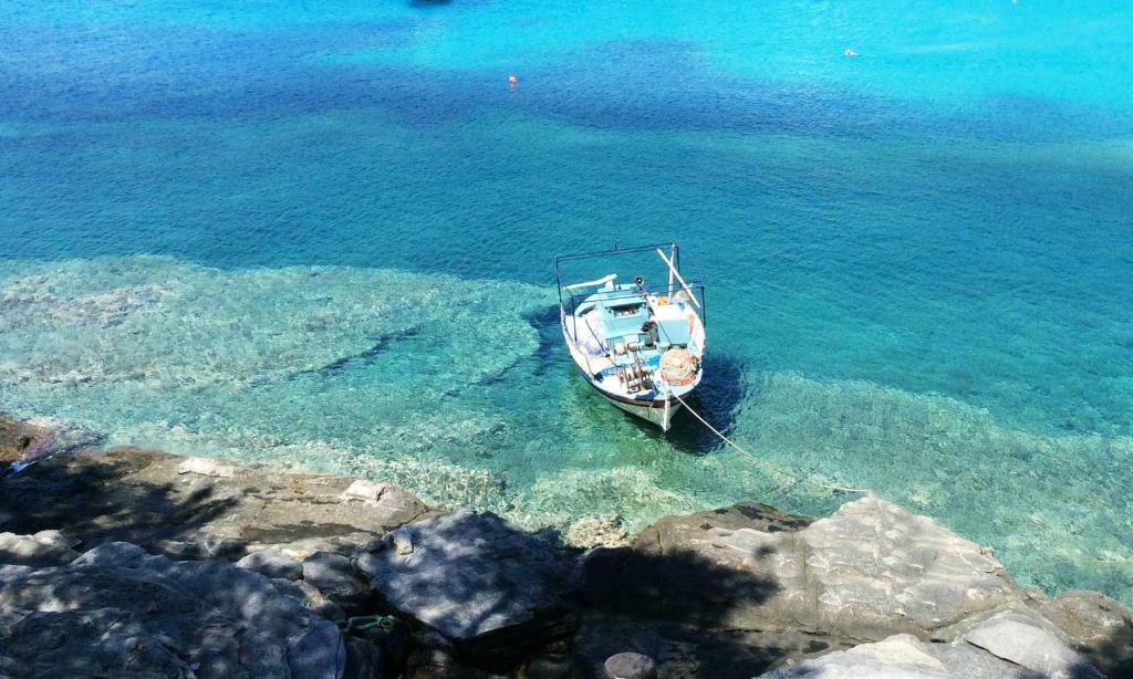 VILLA RELAX photo 3