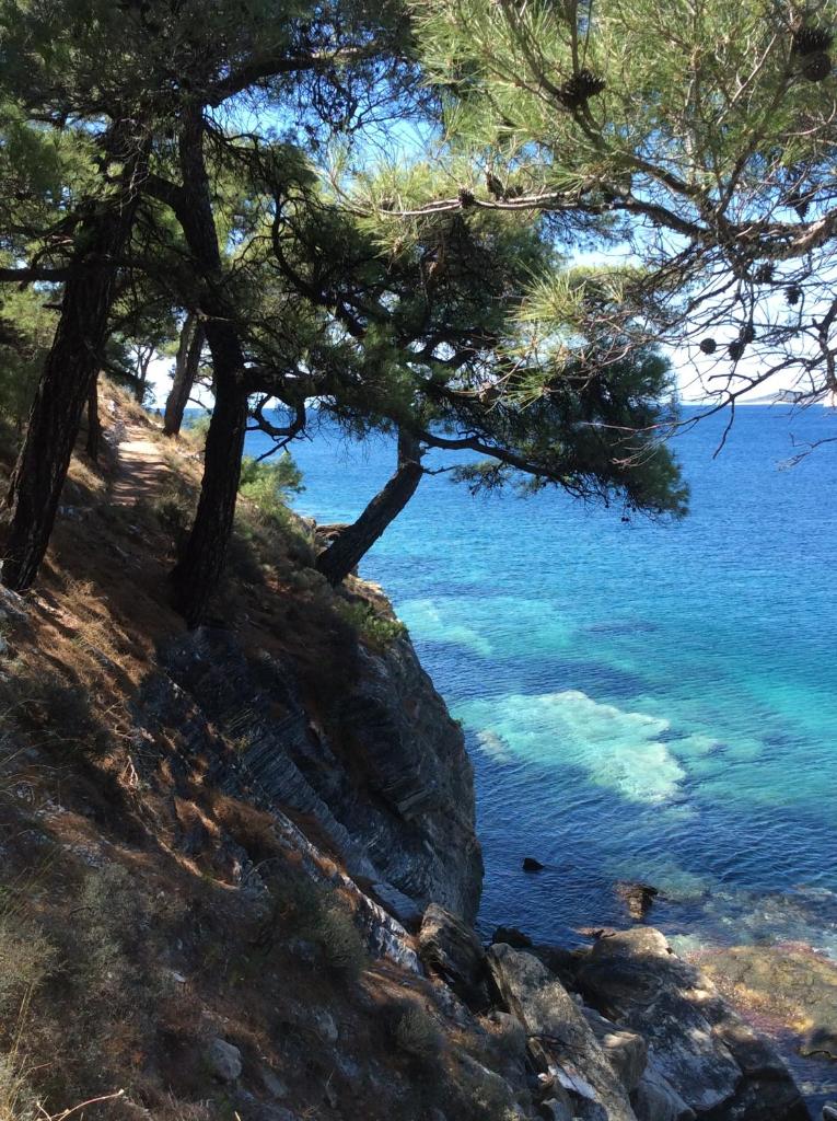 VILLA RELAX photo 4