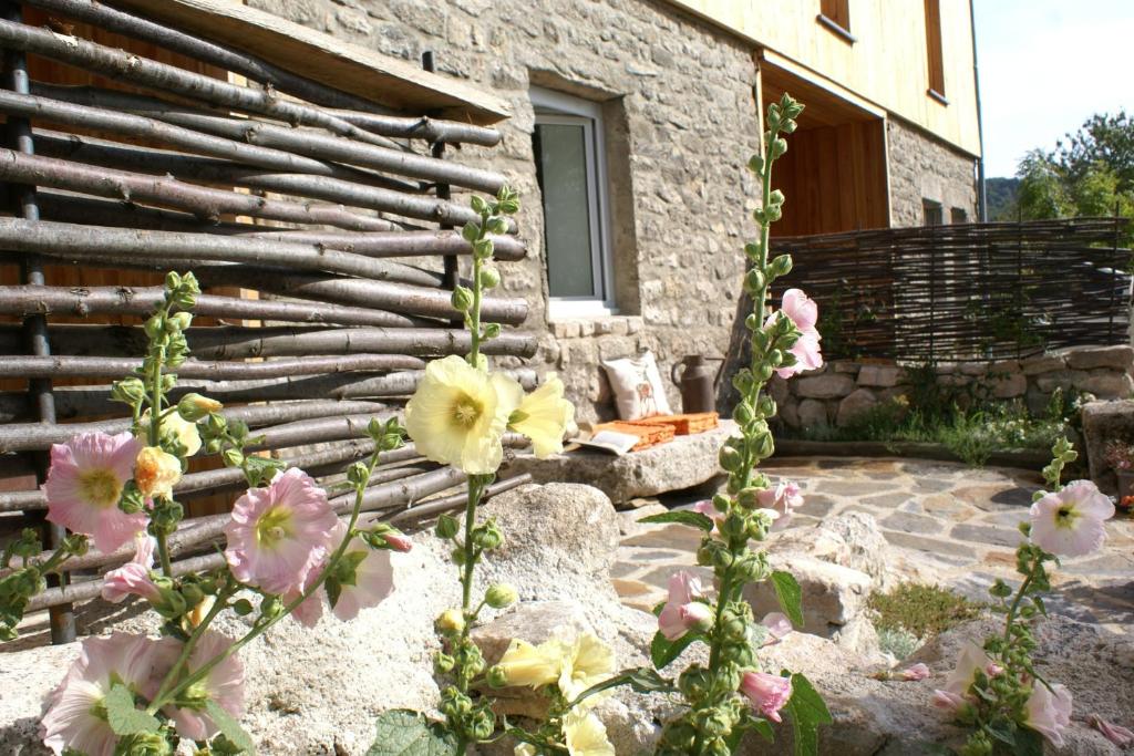 Gites La Boletiere photo 4