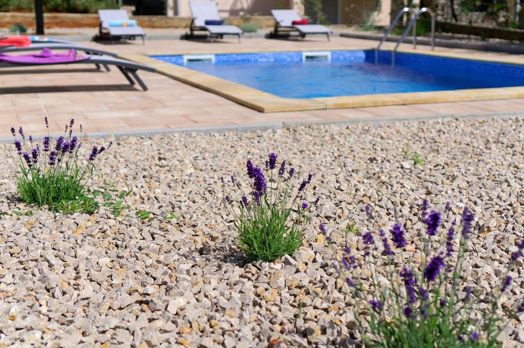 Villa Nerium photo 4