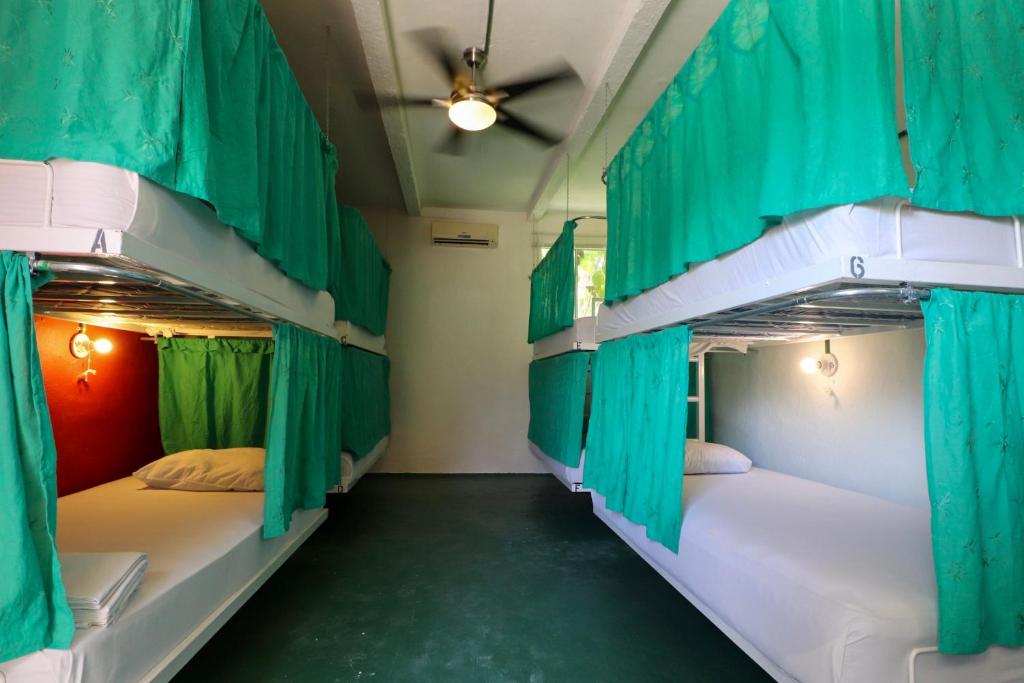 Wabi Hostel photo 4