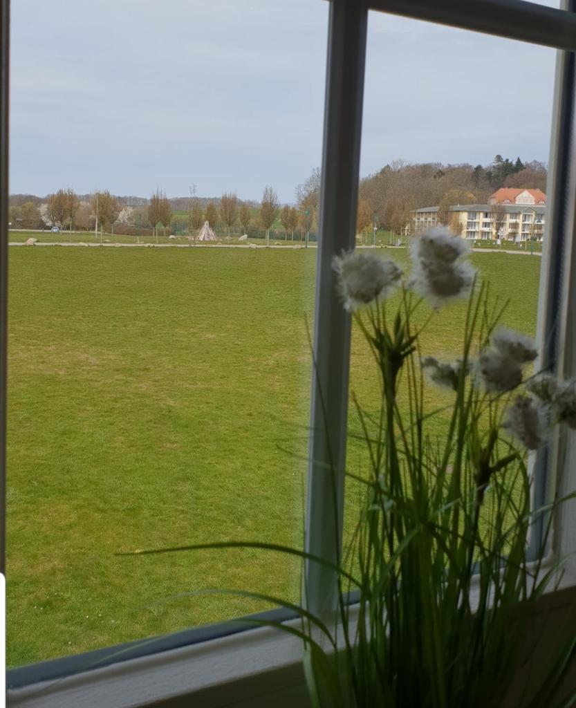 Ferienapartment Wiese & Meer auf Rügen photo 2