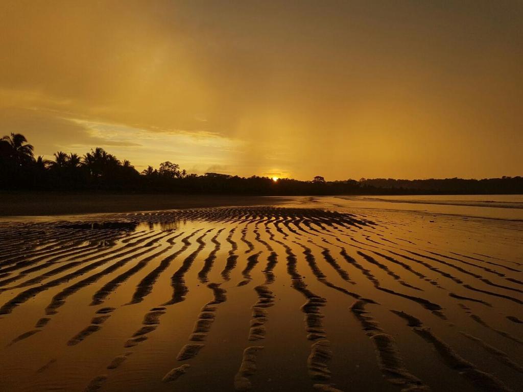 turqui paradise photo 1