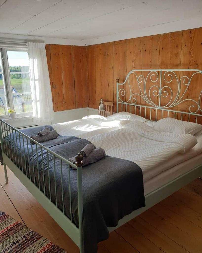 Hofra Bed & Breakfast photo 3
