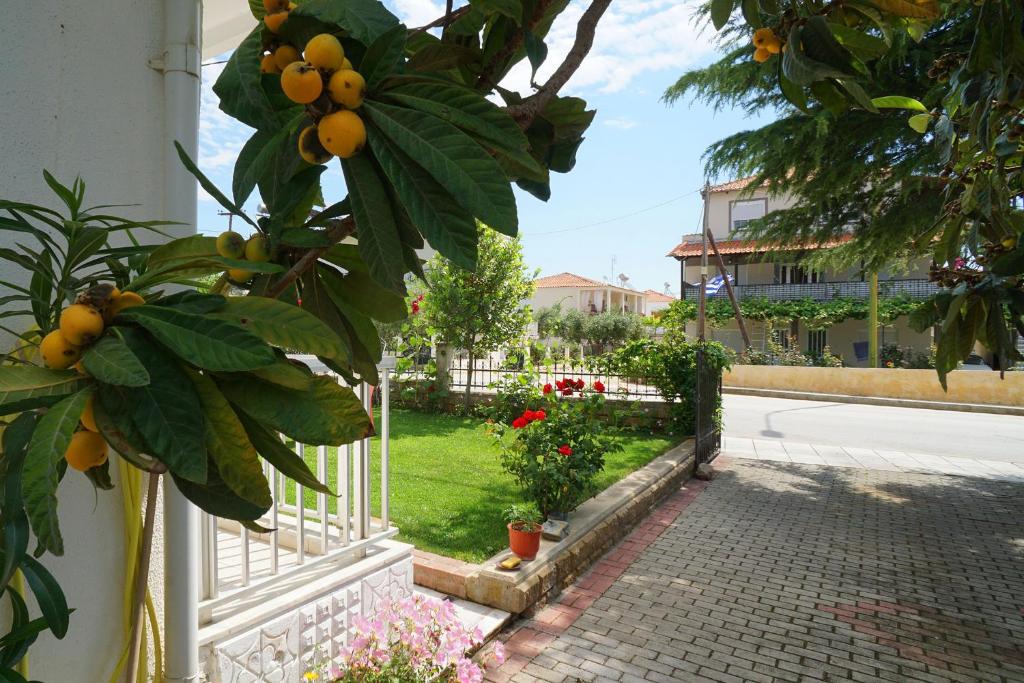 Village Avdira Family House photo 2