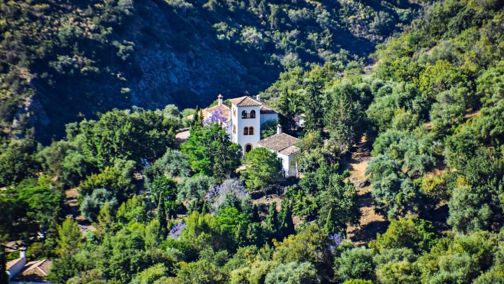 Casas Rurales Los Algarrobales photo 2