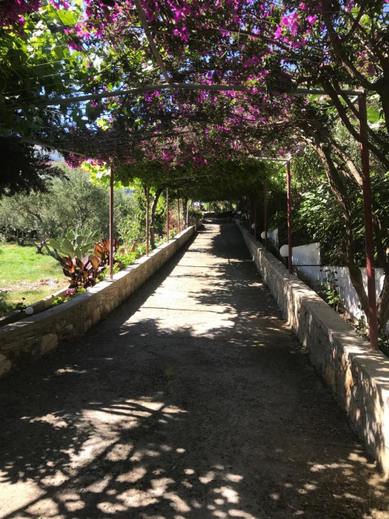 Knossos photo 3