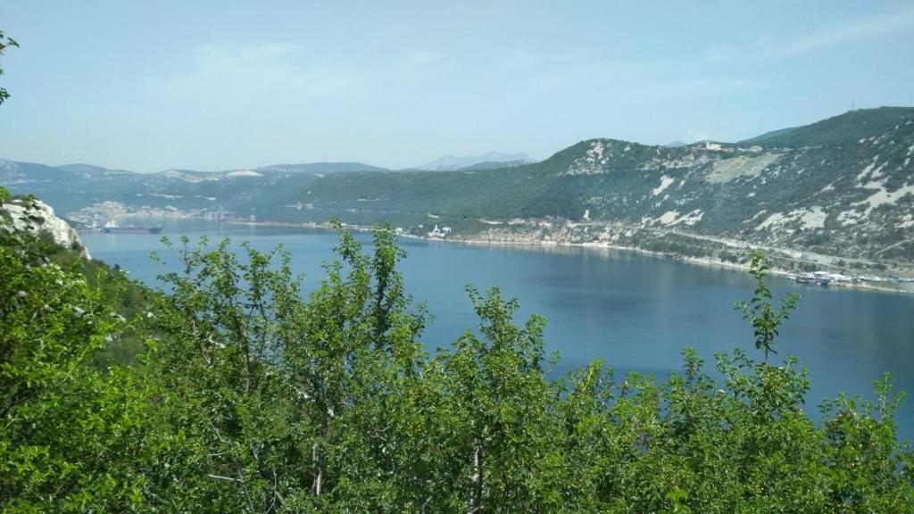 Apartman Felice photo 3