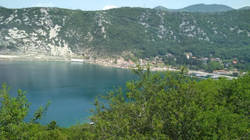 Apartman Felice photo 4