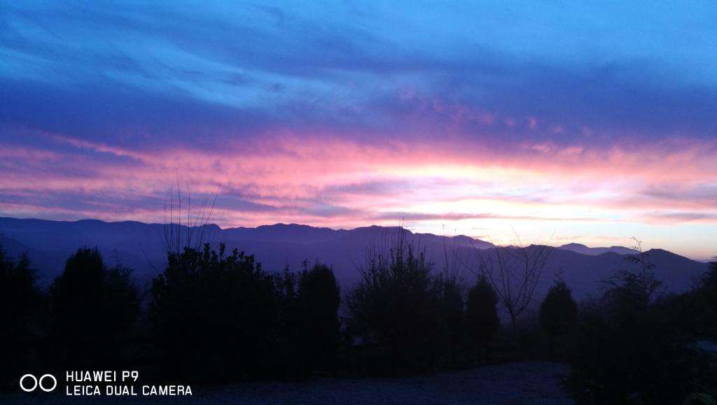 elbosqueencantadocantabria photo 1