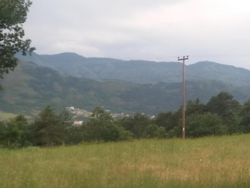Panorama Kakopleyri Kalabakas photo 1